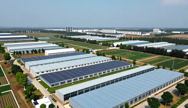 师资培训选型中的核心关注点与实践路径